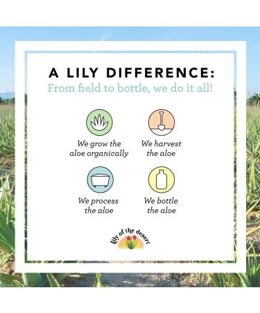 Lily of the Desert Aloe Vera Juice Drink - Whole Leaf, Preservative Free, Vegan Dietary Support - 32 Fl Oz - Buy Online on GoSupps.com