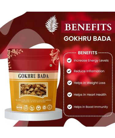 DK Gokhru Bada Pedalium Murex Large Caltrops Natural 100g - Buy Online on GoSupps.com