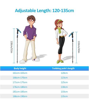 Anykuu Foldable Hiking Poles 110-130cm | Ultralight Shockproof Nordic Walking & Trekking Poles - Blue - Buy Online on GoSupps.com
