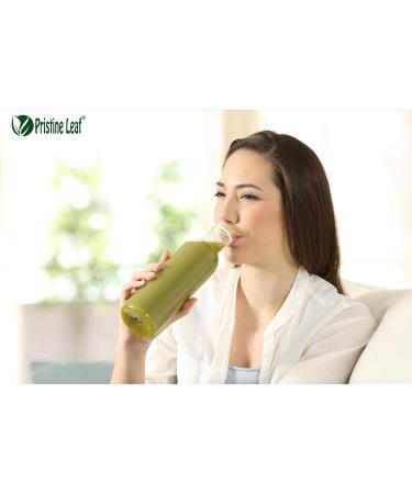 Pristine Leaf | Organic Ceremonial Matcha Green Tea Powder | 12 Single Serving Packs of 2.5g | Pure Natural | No Additives | No Sugar | No Fillers | Calorie Free | Vegan | Gluten Free | USDA Organic - Buy Online on GoSupps.com