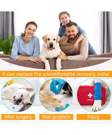 ETDANE Surgical Recovery Suit for Pets | Long-Sleeved Anti-Failure Bodysuit for Dogs | Red Clamping Pajamas for Small Female & Male Dogs - Buy Online on GoSupps.com