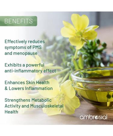 Ambrosial Evening Primrose Oil 1000mg (EPO) | Cold Pressed Evening Primrose Oil Capsules | Rich Source of Omega 6 Fatty Acids & GLA | High Strength Evening Primrose Capsules (Pack of 2-120 Softgels) 60 count (Pack of 2) - Buy Online on GoSupps.com