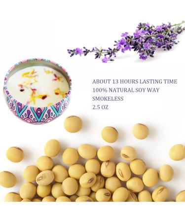 Scented Candles Gift Set - Aromatherapy Soy Wax Candles for Home & Travel | Long Lasting Lavender & Wolfberry Orange | Perfect Gift for Women | 2 Pack 2.5 Oz - Buy Online on GoSupps.com