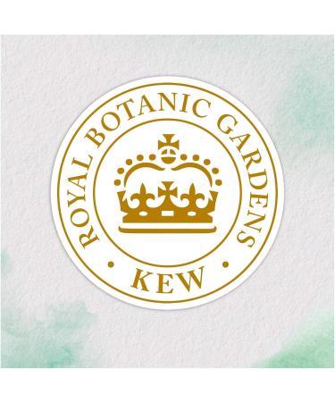 Herbal Essences pure Coconut Milk Hydration Mask 250 ml - Buy Online on GoSupps.com