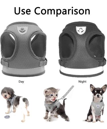 Kitten Harness and Lead Set Kitten Harness Cat Harness Cat Leash for Walking Escape Proof Puppy Kitten Vest Harnesses for Small Dogs Animals Rabbit/Mouse/Cats Cat Collar XS Grey - Buy Online on GoSupps.com