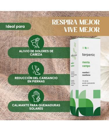  Terpenic Labs Terpenic Champo Mint 10 ml 10 ml - Buy Online on GoSupps.com