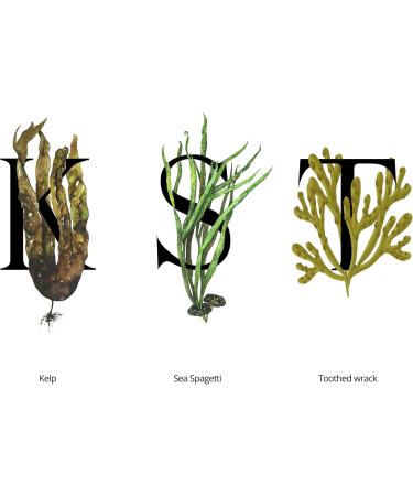 SEAWEED ORGANICS - Lower Seaweed Hydrating Essence Organic Scottish Kelp Toothed wrack Sea spaghetti extract For all Skin Submit Cosmetic Product Notification in the UK 50ml DIANA DRUMMOND - Buy Online on GoSupps.com