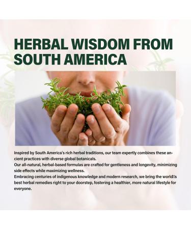 Verdeherb Astragalus Root Extract Herbal Drops for Immune System Support Immunity Health & Energy Boost Tincture Supplements with Rhodiola Rosea Echinacea Elderberry Reishi Ginseng. Huang Qi. 2oz - Buy Online on GoSupps.com