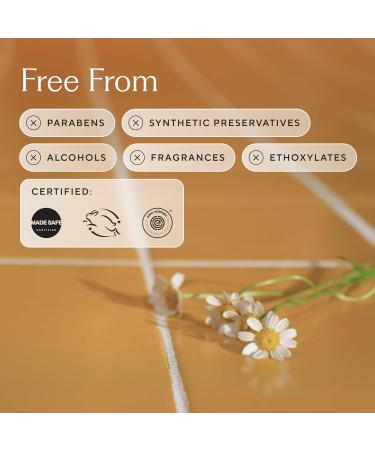 Branch Basics Gel Hand Soap Refill 32oz Pouch | Plant & Mineral-Based Formula with Aloe Chamomile & Meadowfoam Oil | Fragrance-Free Gentle & Safe for Sensitive Skin - Buy Online on GoSupps.com