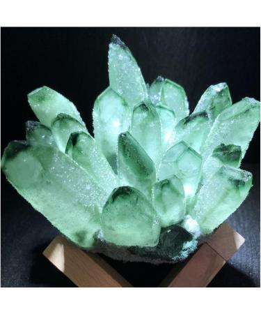 Natural Green Ghost Crystal Cluster Phantom Quartz Rock Stones and Crystals Reiki Specimen Home Decor Decoration Gift Stone Mineral Specimen (Color : A Army Green Size : 900-1000g) 900-1000g A Army Green - Buy Online on GoSupps.com