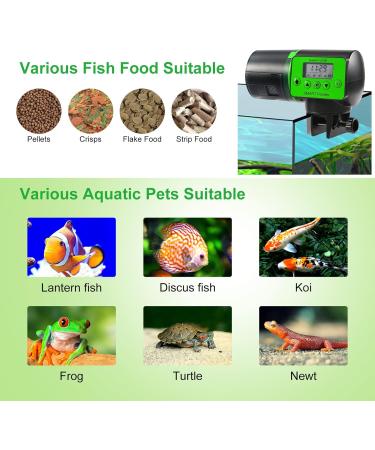 Castaroud Automatic Fish Feeder Fish Food Dispenser Auto Timer Aquarium Tank Turtle Feeder Smart Programmable Digital LCD Large Capacity Auto Fish Feeder for Fish Turtle - Buy Online on GoSupps.com
