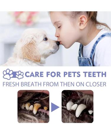 Pet Breath Freshener Gel Care Cleaner Pet Oral Restorative Gel Pet Oral Repair Gel for Dogs Pet Teeth Repairing Targets Tartars-Without Brushing Pet Teeth Whitening 4PCS - Buy Online on GoSupps.com