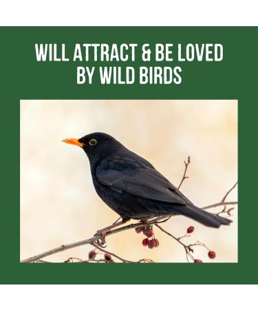 Honeyfields 5Kg Wild Bird Food - High Quality Blend for All Seasons - Buy Online on GoSupps.com