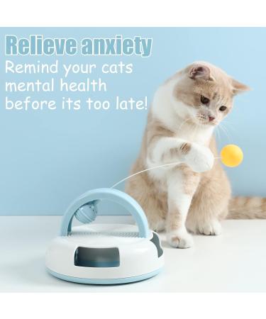 Suhaco 3-in-1 Interactive Cat Toy Set with Feather Wand, Catnip Ball, and Bell Track Toy - Self Play Fun for Indoor Cats - Blue - Buy Online on GoSupps.com