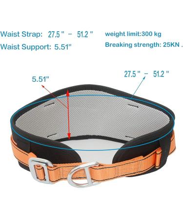Large HeeJo Body Safety Belt with Waist Pad, Side D-Ring - PPE for Climbing, Rescue & Rappelling - Buy Online on GoSupps.com