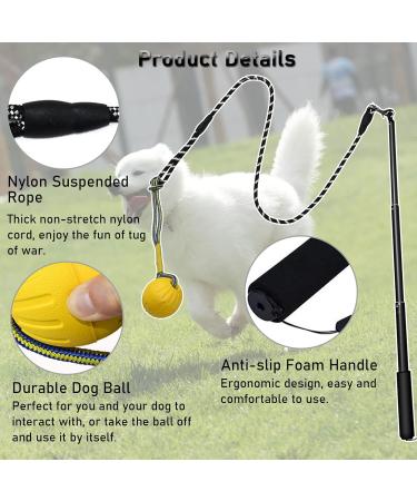 Tekcam Flirt Pole for Dogs | Interactive Tug Ball Toy for Training | Durable Outdoor Chewing Stick for Small to Large Breeds - Buy Online on GoSupps.com