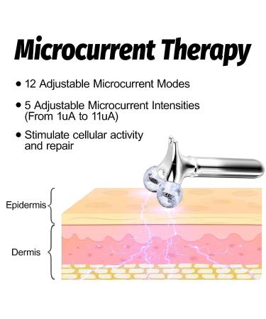 Microcurrent Facial Device - Electric Face Massager Roller with Vibration | Skin Care for Fine Lines & Wrinkles | Rechargeable Massager for Face, Eye & Neck | Gift for Women - Silver Gray - Buy Online on GoSupps.com