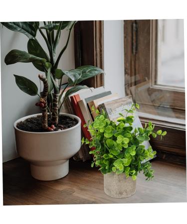 TOPBATHY Home Decor 5 Pcs Simulated Potted Plant Small Pulp Potted Plants Eucalyptus Small Greenery Decor As Shownx5pcs 22x8cmx5pcs - Buy Online on GoSupps.com