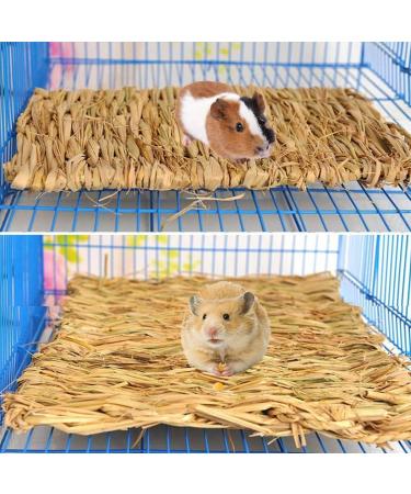Roadloo Small Pet Grass Mat - 4 Edible Natural Grass Mats for Rabbits Guinea Pigs Rats Parrots & Ferrets | Safe & Fun Animal Toy - Buy Online on GoSupps.com