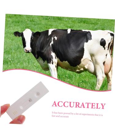 Partykindom T-Tool: 1 Stk Pregnancy Tester for Cattle - Early Detection Test Stick & Paper Tool | Reliable Animal Supply - Buy Online on GoSupps.com