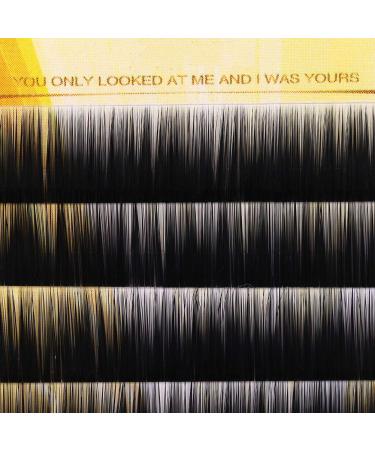 Dioche Eyebrow Extensions - Sanitary False Eyebrows in 9mm/10mm/11mm | Lash Enhancer - Dust-Proof & Stylish - Buy Online on GoSupps.com