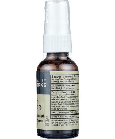 Vitality Works Blaster Spray 1 FZ | Powerful Immune System Support - Buy Online on GoSupps.com
