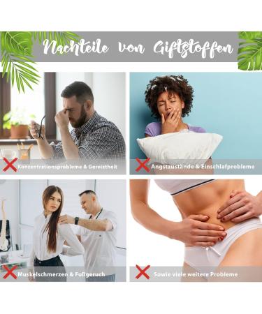 Summer Foot 20-Pack Premium Rose Oil Adhesive Pads | Bamboo Foot Plasters for Wellness - Buy Online on GoSupps.com