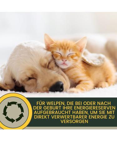 Vitamins for Dogs 1 ml + Paste 15 ml Vitamin B Complex for Dogs Vitamins B + Vitamin ACD Calcium Strengthens Vitality Multivitamins & Minerals Supports the Immune System Skin Coat - Buy Online on GoSupps.com