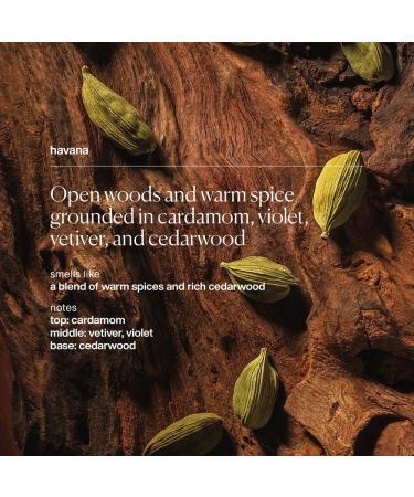 evolvetogether Nutrient-Rich Body Cleanser for Women & Men | Havana Cardamom Vetiver & Cedarwood | Cream-to-Oil Hydration Gently Cleanses | Vegan Cruelty-Free Sulfate Free | (11.8 fl oz) 11.8 Ounce (Pack of 1) Havana - Buy Online on GoSupps.com