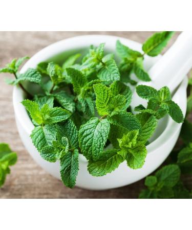 Delicious Peppermint Ice Cream Trap - 250g | Perfect for Desserts Drinks Chocolates & More | International Shipping Available - Buy Online on GoSupps.com