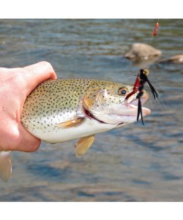 100-Piece Fly Fishing Set with Storage Box - Wet & Dry Flies Nymphs Streamers Hooks for Trout Perch Salmon | Complete Fishing Accessories - Buy Online on GoSupps.com