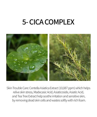 FARMSTAY CICA FARM Acne Foam Cleanser - Gentle Facial Cleanser for Acne-Prone Skin - Clears Blemishes - 6.08 fl oz - International Shipping Available - Buy Online on GoSupps.com