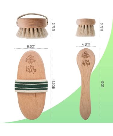 Velna Body & Face Brush Set - Natural Horsehair Brushes for Cellulite - Premium Dry Brushing - 15x11x4.5 - Buy Online on GoSupps.com