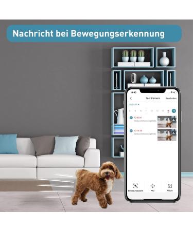 Pettec 360 Dog Camera Set - Full HD Pet Surveillance with Night Vision & No Subscription | Cam Lite & Free App Controlled Voice Function for Dogs & Cats - Buy Online on GoSupps.com