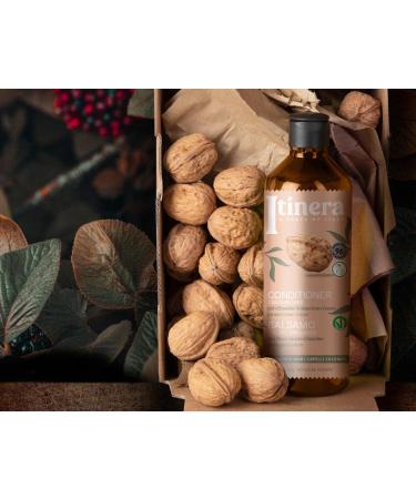 Color Care Shampoo with Chandler Walnut | Vegan & 95% Natural | 12.51 fl oz for Color-Treated Hair - Shop Internationally - Buy Online on GoSupps.com