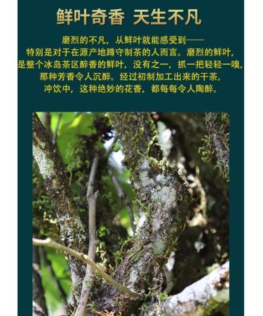 Pu-erh tea 2020 Lu Tang Grind 357g Raw - Buy Online on GoSupps.com
