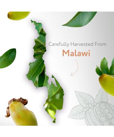 HBNO Organic Baobab Oil - 4 OZ | Cold Pressed Natural Carrier Oil for Massage Aromatherapy DIY Soap Making Face Body & Hair - Value Size - Buy Online on GoSupps.com