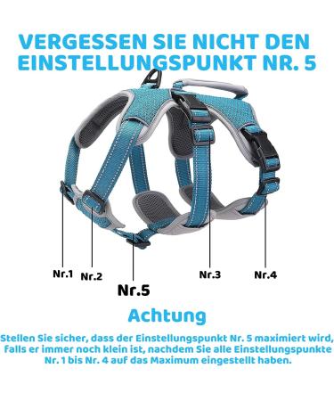Belpro Multi-Purpose Dog Harness - No Pull Adjustable Reflective Vest for Large Dogs (Blue L) - Durable Handle & Dog Dishes Included - Buy Online on GoSupps.com