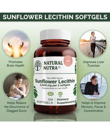 Natural Nutra Sunflower Lecithin Supplement 2000mg - Liver Support & Memory Booster - Non-GMO & Gluten Free - 120 Softgels - Buy Online on GoSupps.com