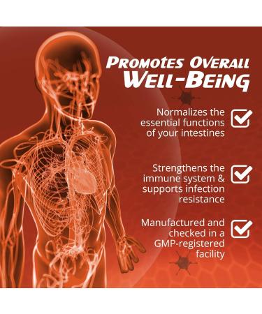 RaDoTech - IntestiSan Olive Leaf Extract with PAU D Arco Immune Support Supplement for Intestinal Health and Resilience Natural Immune Support Formula for Total Wellness GMP (60 Count (Pack of 3)) - Buy Online on GoSupps.com