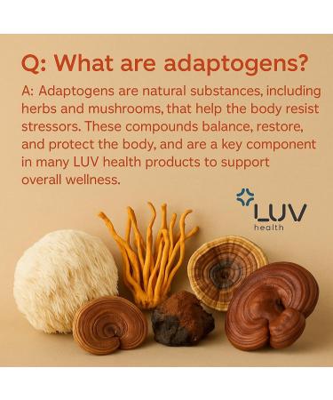 LUV health Zen Drops 3Pack: Stress & Anxiety Support Drops with Magnesium Glycinate Vitamin D3 Lemon Balm Chamomile Saffron L-Theanine. Keto Vegan USA Made Non-GMO 90 Servings - Buy Online on GoSupps.com