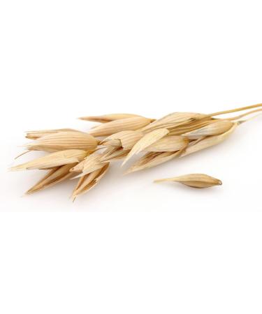  B ckerei Spiegelhauer B ckerei Spiegelhauer Organic Oat Flakes 1kg - Small Gluten Free Oat Leaves - Oats - Buy Online on GoSupps.com