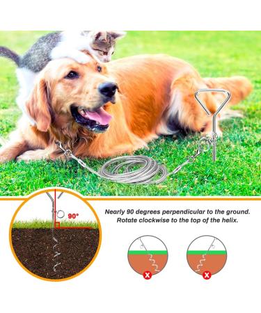 16ft Dog Tie Out Cable with Spiral Ground Stake - Up to 120lb Dogs - Perfect for Playing, Camping, and Backyard - White - Buy Online on GoSupps.com