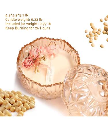 Relaxing Scented Candles for Home | Aromatherapy Jar Candle with Glass Cover - Perfect Gifts for Men & Women (Dried Orange - Buy Online on GoSupps.com