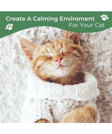 Daintry Cat Calming pack of two Refills for Diffuser With Sunflower Smell .Diffuser not included - Buy Online on GoSupps.com