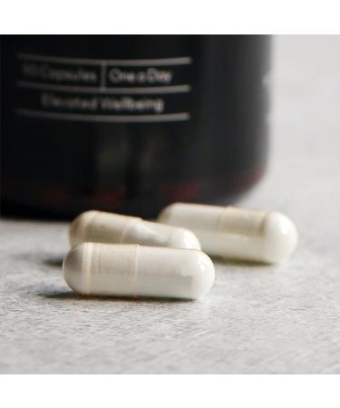 Protein Works - Zinc & Magnesium Supplement Tablets |Added Vitamin B6 | Combats Tiredness & Fatigue | Sports Recovery & Aids Sleep | 90 Tablets - Buy Online on GoSupps.com