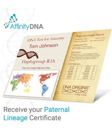 DNA Test Kit for Paternal Ancestry | Discover Your Y-STR Haplogroup | Fast Results | Home Sample Collection - Buy Online on GoSupps.com