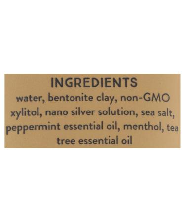 Redmond Earthpaste with Silver Natural Non-Fluoride Toothpaste Peppermint 4 Ounce (Pack of 1) - Buy Online on GoSupps.com