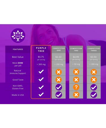 Purple Tree Celebration Pills | Rapid Hydration & Liver Detox | DHM, Milk Thistle, Electrolytes, Vitamin B, Willow Bark & Quercetin | 30 Count - Buy Online on GoSupps.com