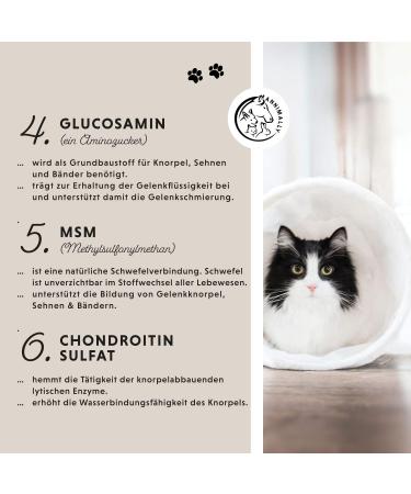 Annimally Joint Powder for Cats | 120g - Natural Joint Support with Green Lipped Mussel MSM Devil's Claw Taurine Glucosamine & Turmeric - 4-Month Supply - Buy Online on GoSupps.com